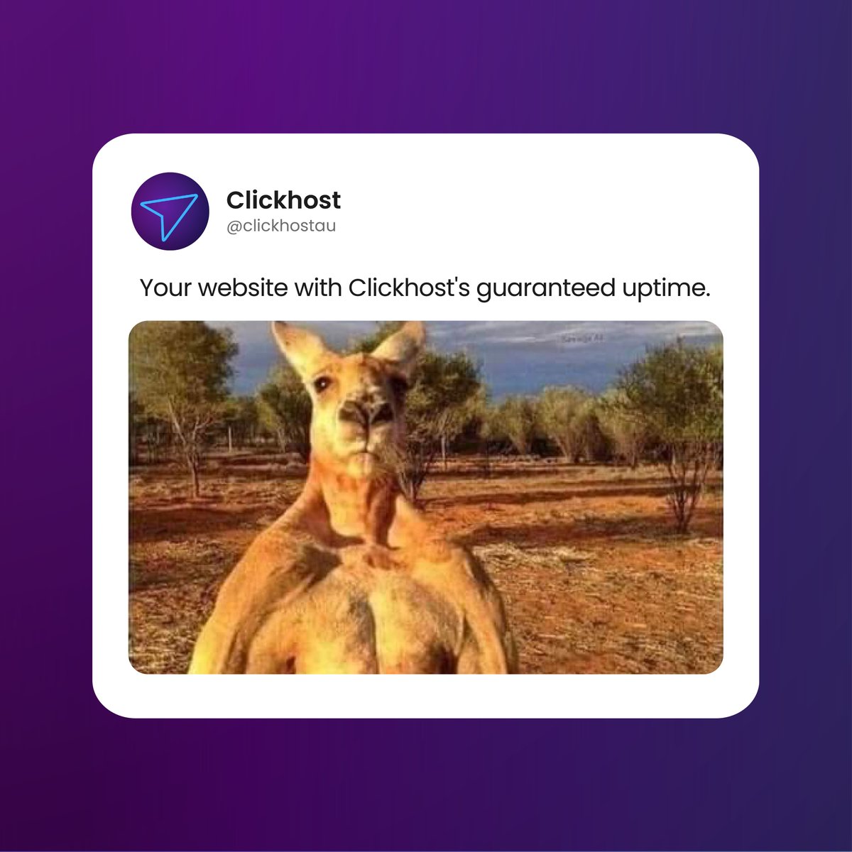 Make your website tougher than a roo by hosting it right here in Oz with Clickhost.

We'll give you top-notch uptime, lightning-fast loads, and quick-as-a-snake response times to tackle any traffic spikes. Too easy!

#aussiewebhosting #webhosting #supportlocal #clickhost #meme