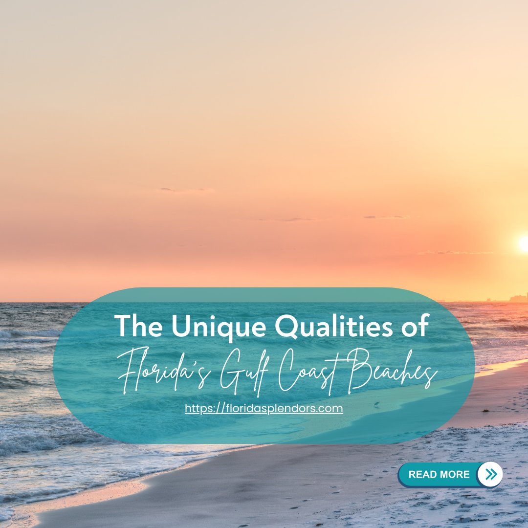 Dive into the unmatched charm of Florida's Gulf Coast beaches, where sugar-white sands and tranquil turquoise waters create an unforgettable coastal escape. 🏝️✨ 

Read more: tinyurl.com/24xymluq 

#GulfCoastGems #FloridaBeachLife #CoastalCharm