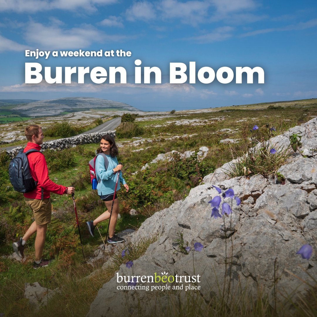 From 4th – 26th May the Burren is celebrating the wildflowers and biodiversity of its unique ecosystem! Some of the more unusual species of orchids can be found in the @BurrenNP! A key place to #LeaveWhatYouFind and #TakeOnlyPictures 📸 Learn more: burreninbloom.com