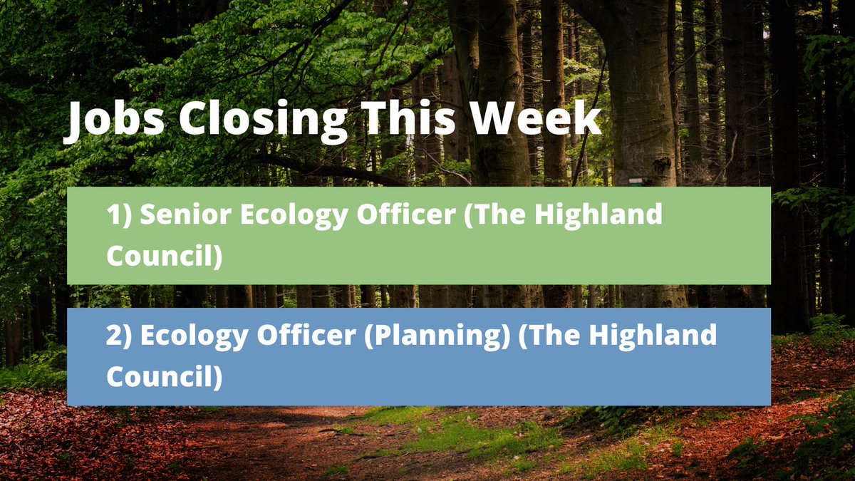 Jobs closing this week Senior Ecology Officer (The Highland Council) 🖇️ cieem.net/job/senior-eco… Ecology Officer (Planning) (The Highland Council) 🖇️ cieem.net/job/ecology-of… For more visit ➡️ cieem.net/ecology-and-en…