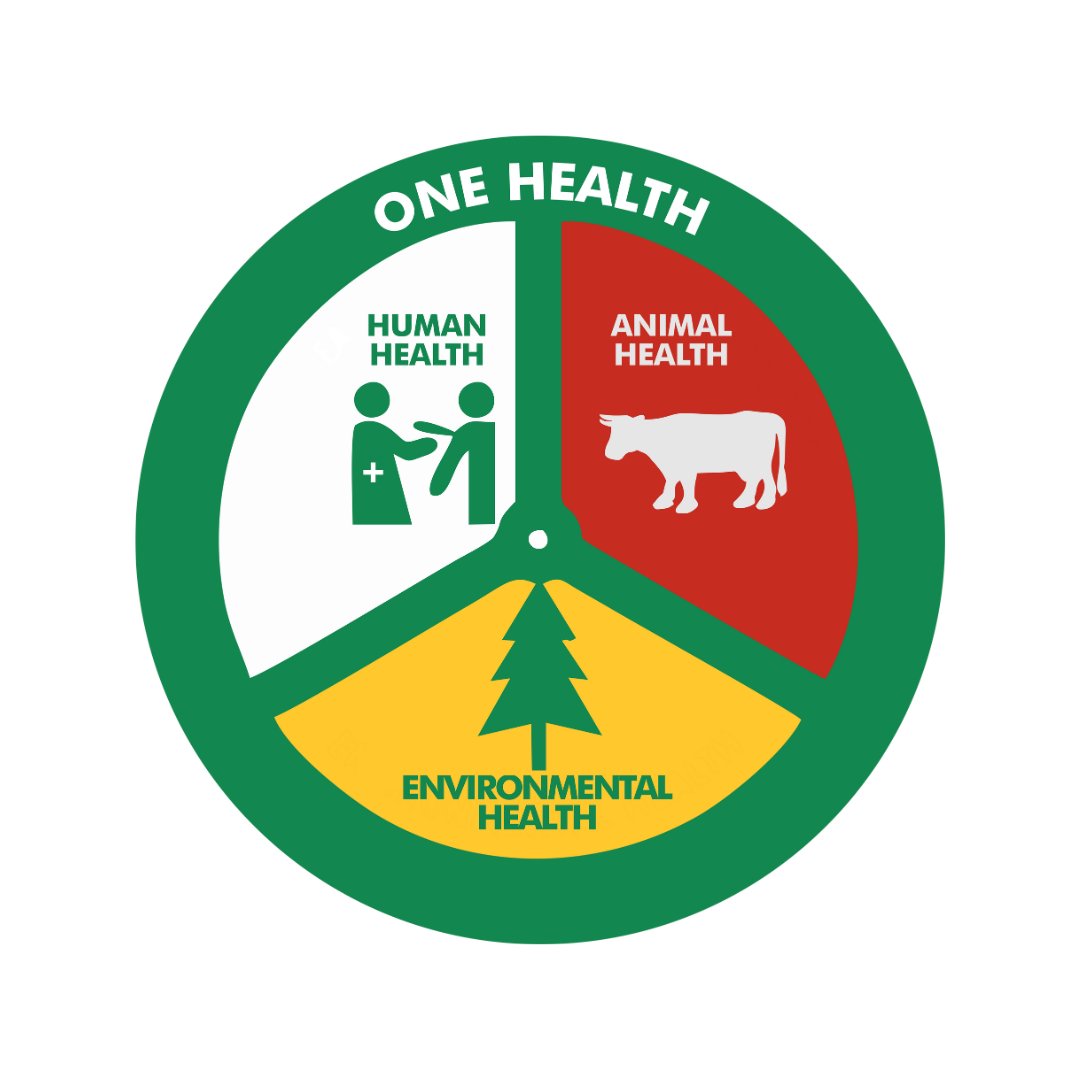 The Nigeria One Health initiative, coordinated by @NCDCgov, envisions a nation of healthy people and animals living in a balanced ecosystem. Q: What is the One Health Approach? #OneHealth #HumanHealth #AnimalHealth #EnvironmentalHealth
