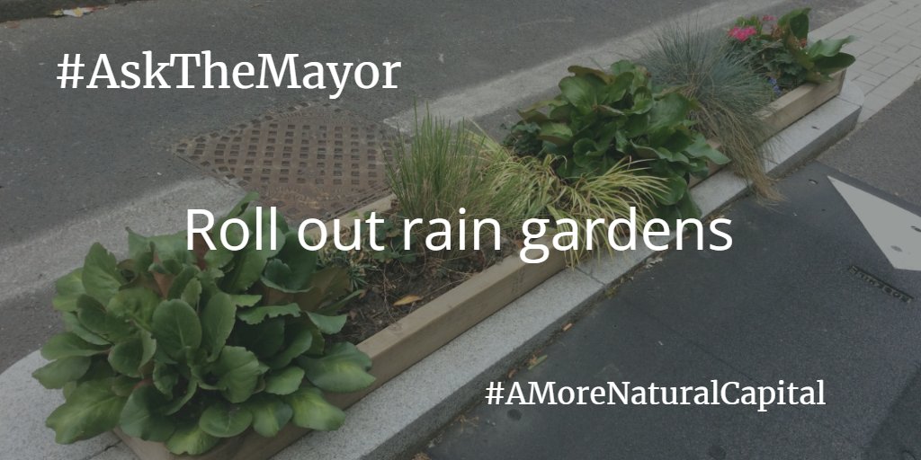 Will the next London Mayor create rain gardens to help reduce flood risk? Ask the Mayor to make the capital a greener city by supporting the More Natural Capital Coalition’s top 10 environmental calls to action👇 ow.ly/LMGw50Ro9Vj @CPRE #londonnature #mayoralelection