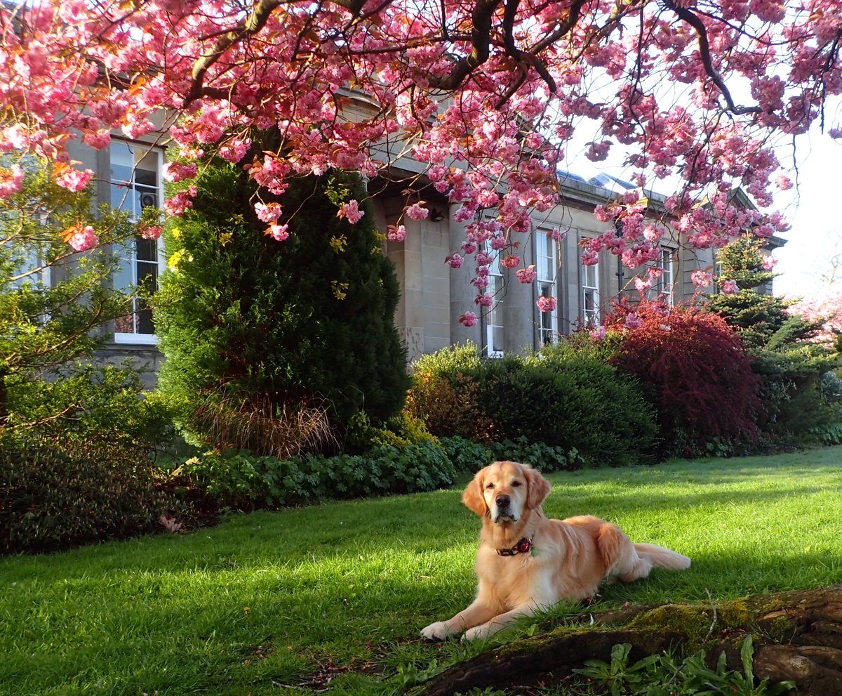 🌄 Last Monday of April and the sun is shining 🌞 Early morning posing courtesy of Scotia in the beautiful Moray College grounds ...my old workplace ❤️ Have a great day frens 😘😘
