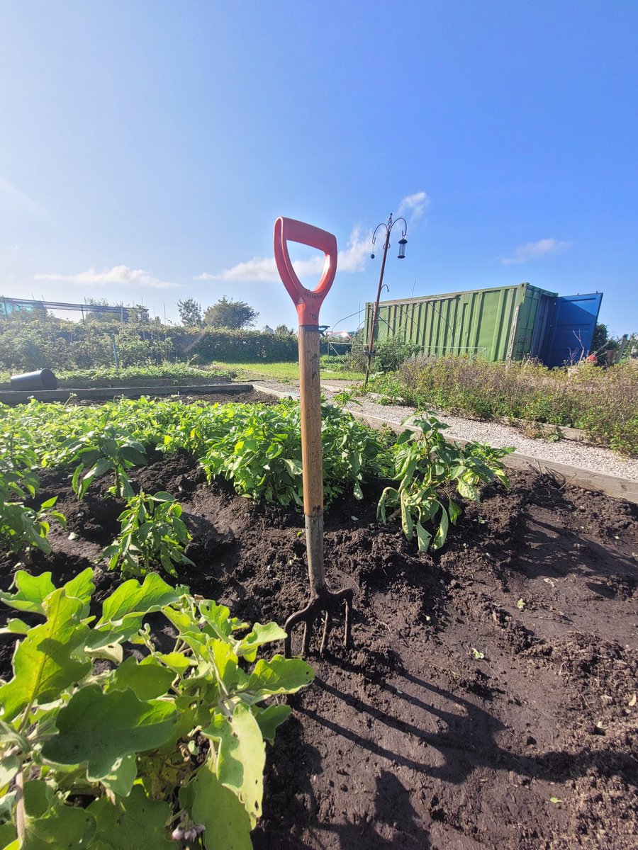 Did you know we have a fantastic #allotment space? 🌱 If you are a #community organisation or group and would like to work with us to access this space to support the #wellbeing of your community, get in touch! 💚👇 ✉️ liferoomspartners@merseycare.nhs.uk