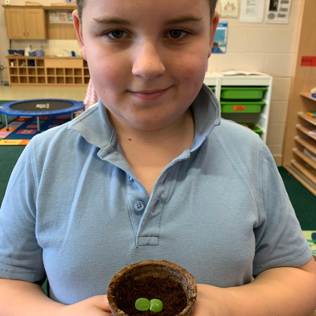 The boys at Our Lady of Lourdes NS, Bunclody, Co. Wexford have been busy with their SuperValu Let's GROW kit! We hear they've had fun sowing their seeds and are taking great care watering and checking in on their growth daily. Well done! 🌱🎉 #SuperValuLetsGROW @SuperValuIRL