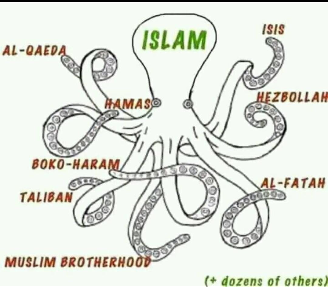 ISLAM WITH IT BRANCHES OF TERRORIST GROUP CARRING OUT IT'S AGENDA.