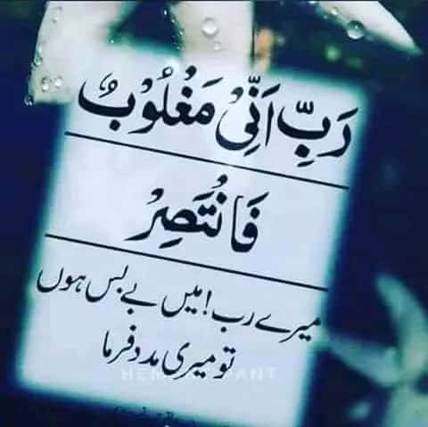 السلام علیکم ورحمۃ اللہ وبرکاتہ 💝 Good Afternoon X Family 🌾🌷🌼 آمین 🙏