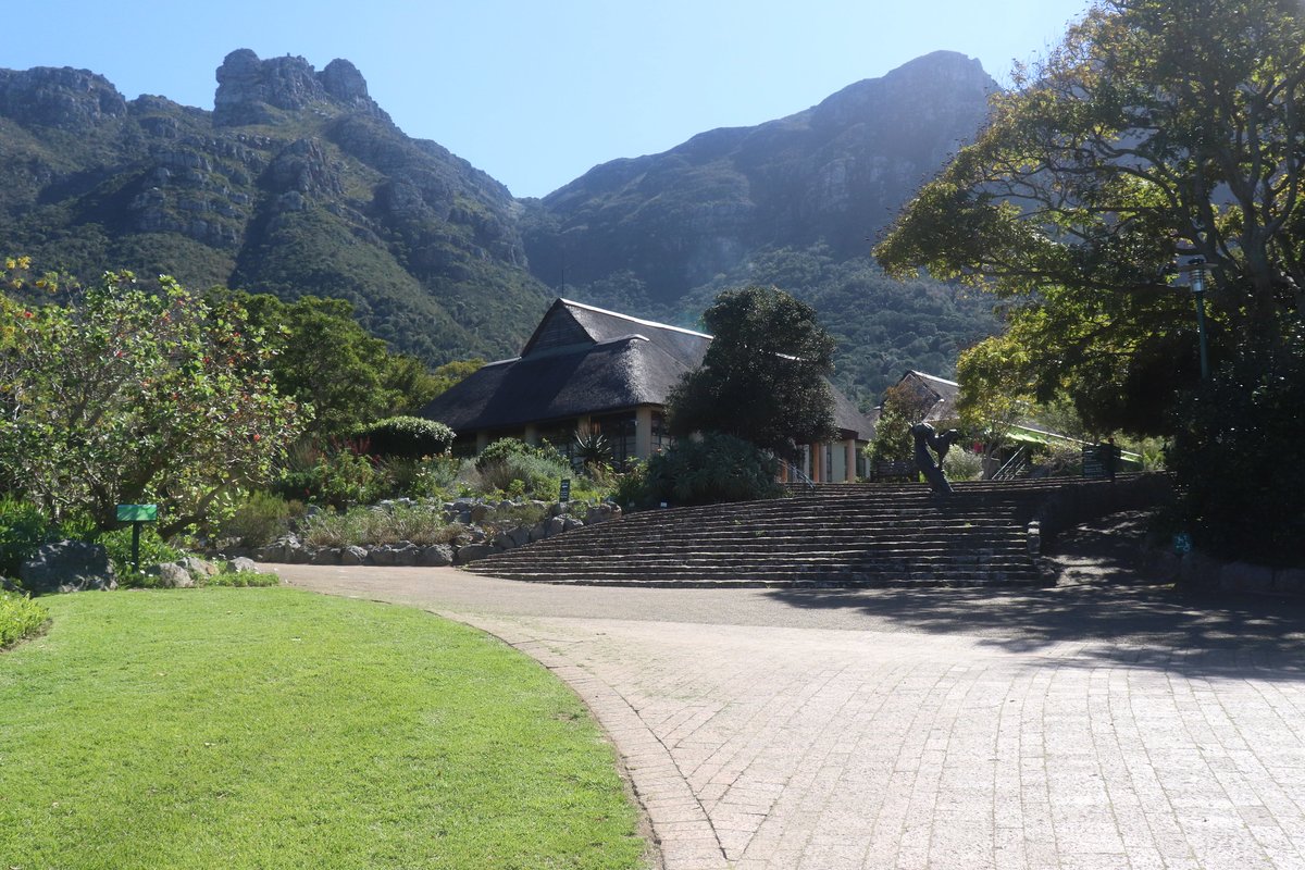 After a temporary closure caused by a fire, Kirstenbosch National Botanical Garden has reopened its doors to the public. We sincerely value your patience and understanding during this time