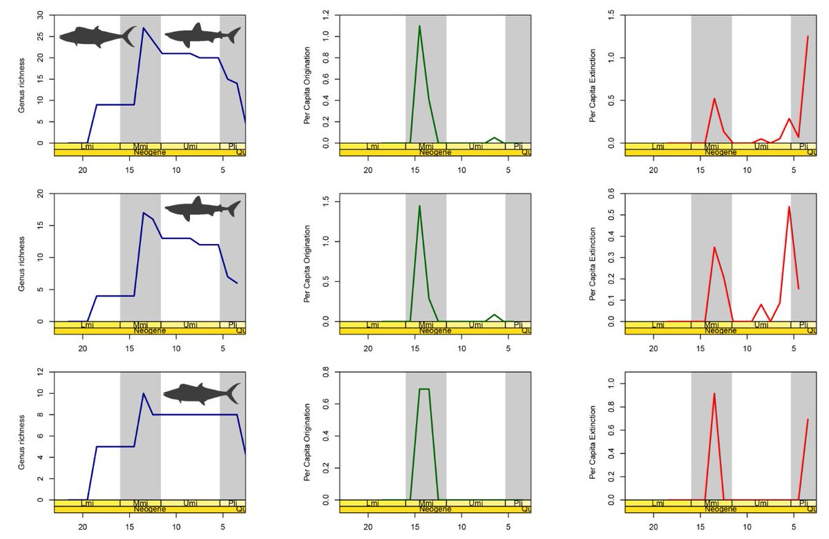 Hi all, I am looking to #connect with people from Japan who are interested in collaborating on a study of diversification patterns of Neogene Japanese fishes
<a href="/PaleoSoc/">The Paleontological Society</a>
<a href="/FossilJapan/">日本古生物学会(公式)</a>
<a href="/osaka_shizenshi/">大阪市立自然史博物館</a>
<a href="/kasekiotushi/">化石乙史 Japan fossil hunters ⚒</a>
<a href="/museum_kahaku/">かはく【国立科学博物館公式】</a>
#sharks #paleontology #fossils #Japan