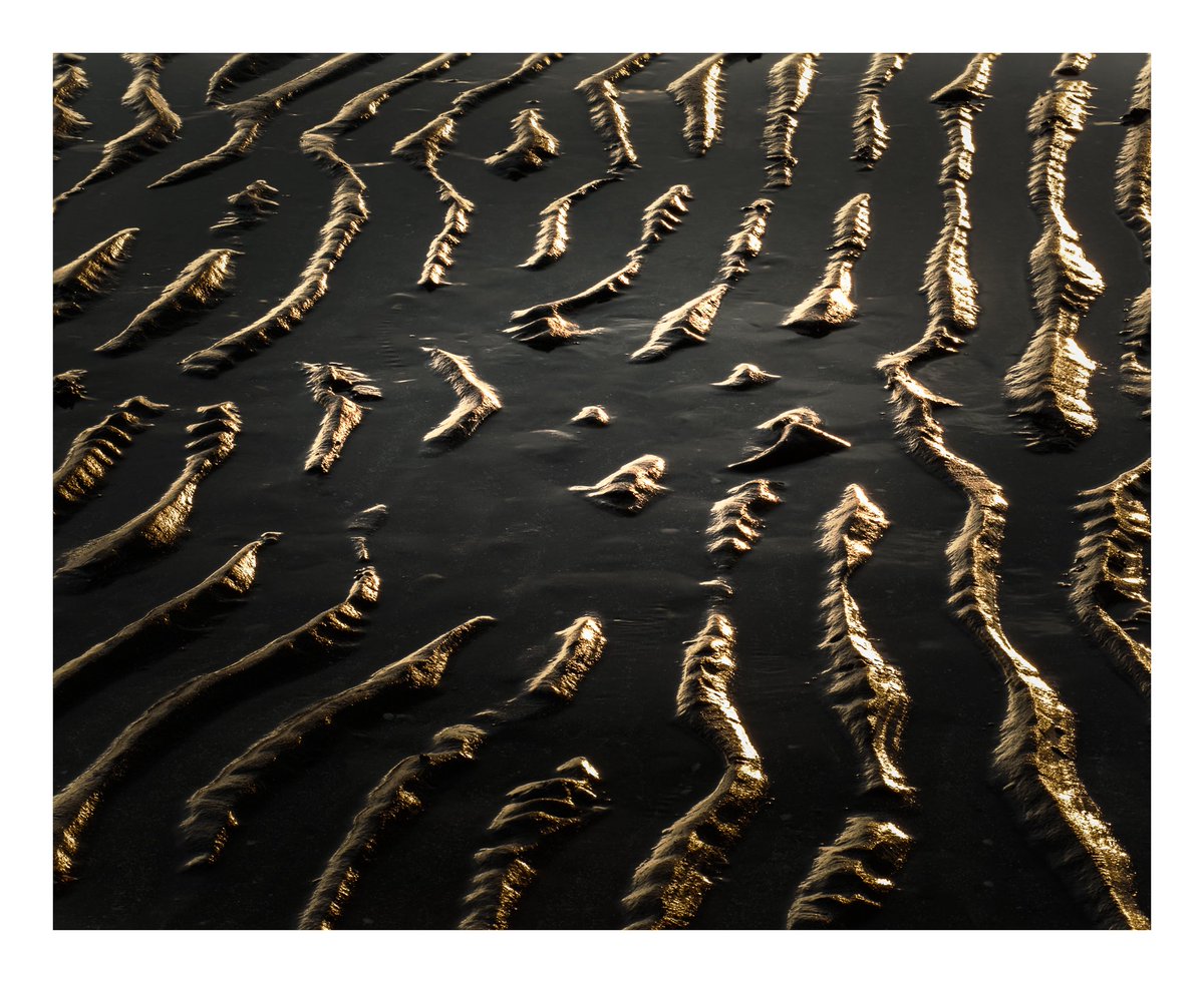 ‘Gold Rush’
An abstract of the sand ripples catching the sunset light at #Llanfairfechan #Beach 
#ShareMondays2024 #WexMondays #appicoftheweek #FSPrintMonday #Sunset #Golden #AbstractArt @kasefiltersuk @ThePhotoHour