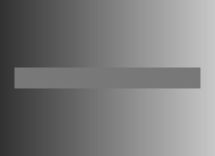 La barra central (el sentido común) tiene el mismo color en todo su área. Es el contexto que le rodea (polarización) el que genera una ilusión óptica (falsa polarización)