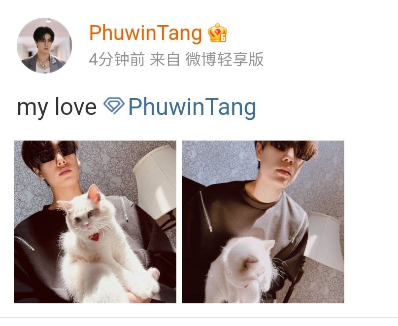 Weibo 📸 @phuwintang 

🐼 my love

#phuwintang #hanabitang