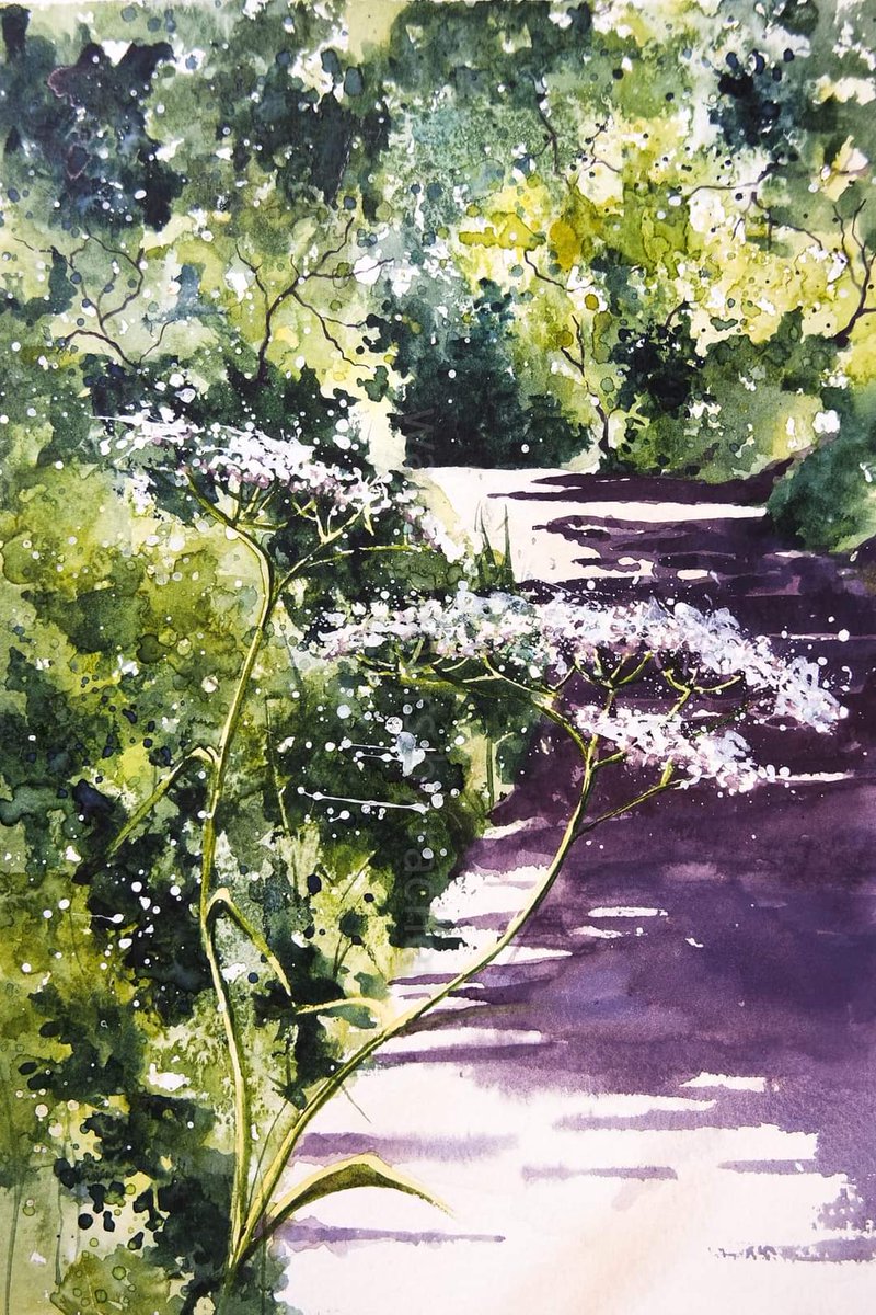 Spring greens are everywhere and the cow parsley is popping up on the lanes .

Happy Monday xx

#Devon #hedgerow #Spring #watercolour #watercolourpainting #greens #devonlanes #trees #painting  #artist #paint #art #countryside #nature #inspiration #landscape #cowparsley #newlife