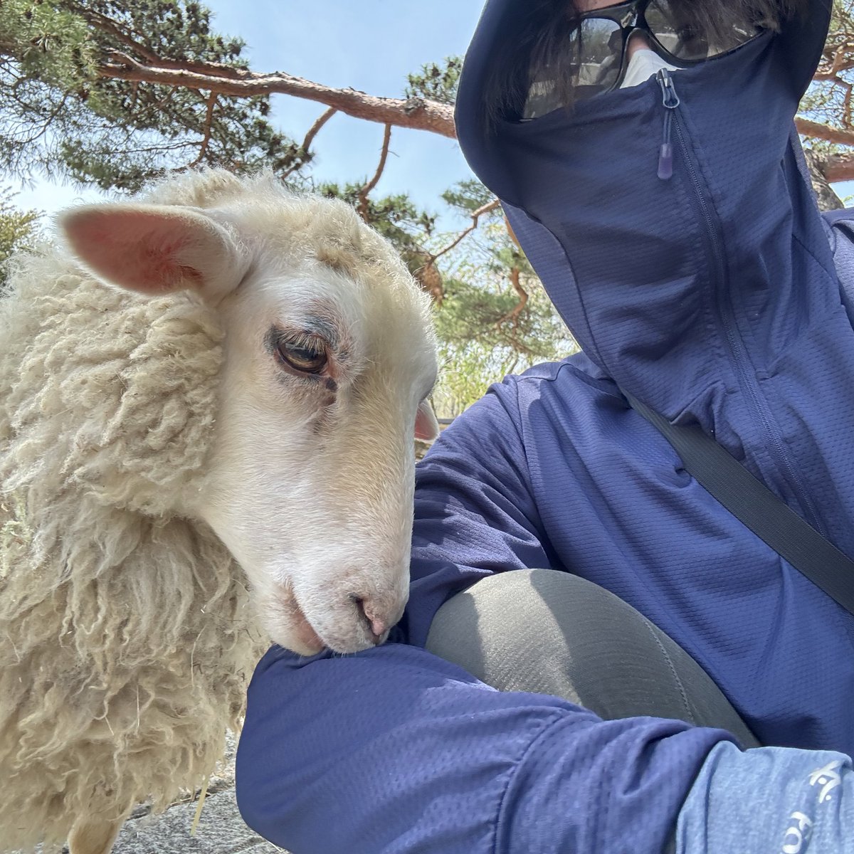 まさかの、日焼けしました😭
この格好で、日焼け止めはアネッサとオレゾ(共にオイルベース)で、塗り直しもしてます。それでも一日中外にいたら焼けました。日傘を使わなかったことと、標高が高めだった影響もあるかもしれません。