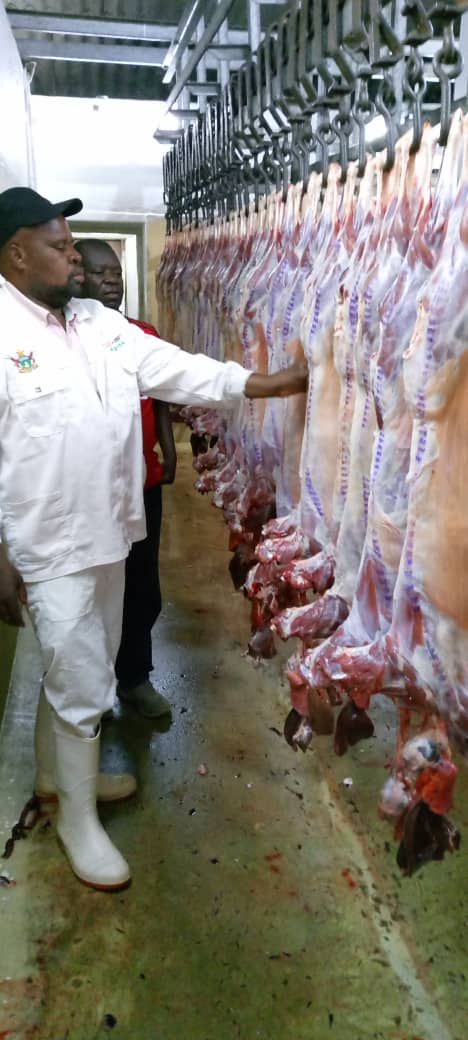 Are you looking for goat meat for your butchery or home consumption? The Mbire Goat Association is in Harare at Nashgo abattoir with high grade goat meat USD3.30 per kg. Contact Sabawu on +263 77 977 4686 to order!