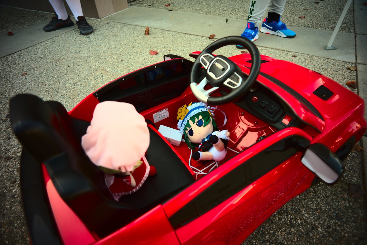 Flan cannot legally drive