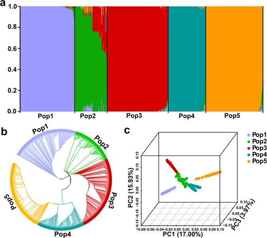 Garlic's genetic traits studied in 606 accessions from 43 countries reveal insights for genetic improvement. 🧬🌱 #GarlicGenetics #CropImprovement @OxfordJournals Details:doi.org/10.1093/hr/uha…