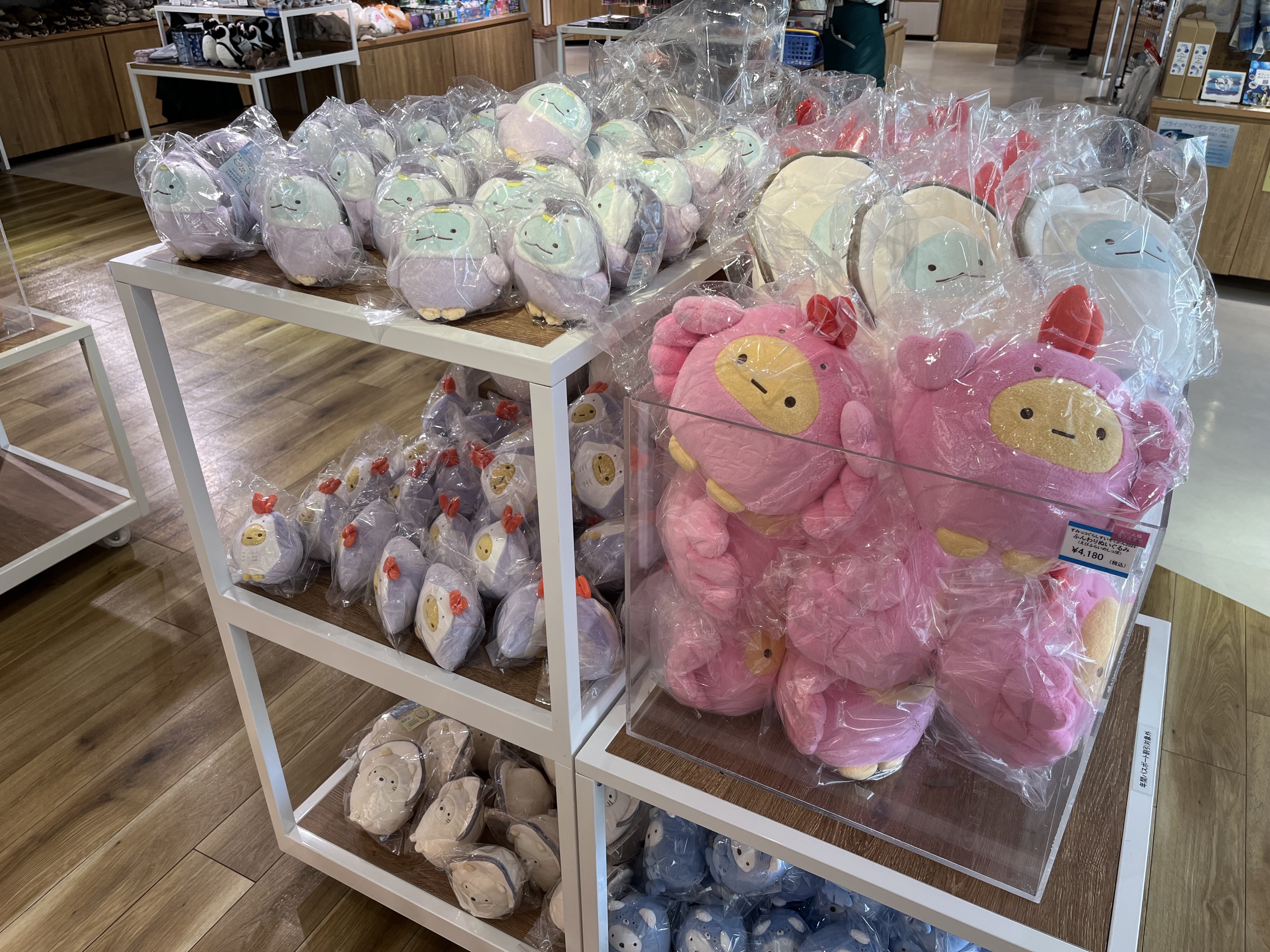 サンシャイン水族館 on X: サンシャイン水族館 on X: