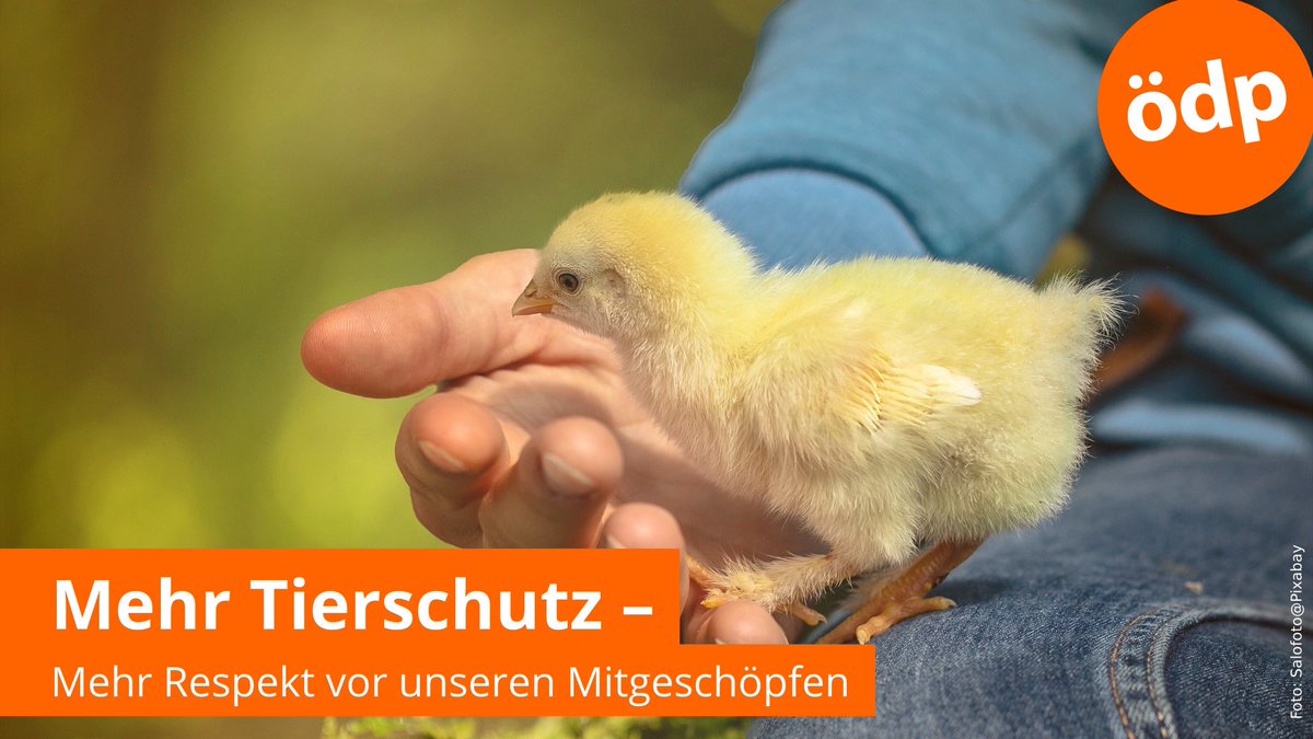 oedpduesseldorf's tweet photo. Konsequenter #Tierschutz
#Europaprogramm der #ÖDP:
https://t.co/ccUG4Dj3LP https://t.co/H1KEjNDcbJ