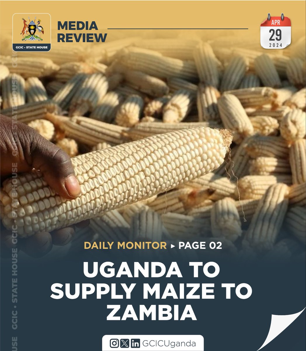 Uganda through @MAAIF_Uganda has agreed to supply 500,000 metric tonnes of maize to Zambia 🇿🇲, which has been hit by a dry spell since mid-January this year. 
#GCICMediaReview #OpenGovUg 

@FrankTumwebazek