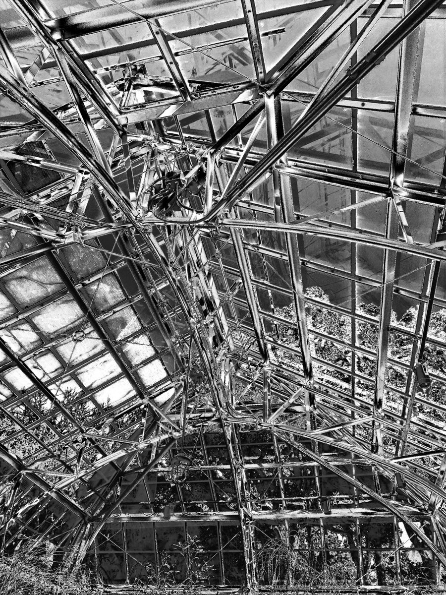 solarization - conservatory #TCCCeilings #irlphotography #tccphotography #thecapturedcollective