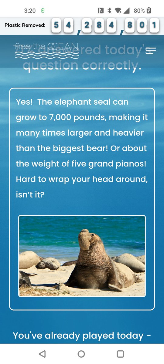 #ElephantSeal #SaveMarineAnimals #SaveTheOceans #SundayTrivia