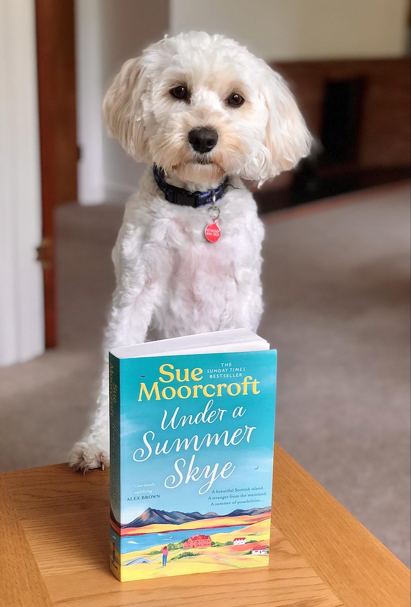 When I was writing #UnderASummerSkye I invited members of #TeamSueMoorcroft to post pix of their dogs to take a starring role in the book. Daisy won, and here she is with Janina's signed book. She looks impressed, doesn't she? :-)