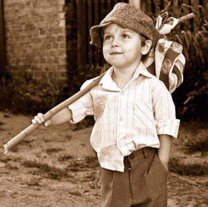 precalonia(Ah swear they told us the real truth)