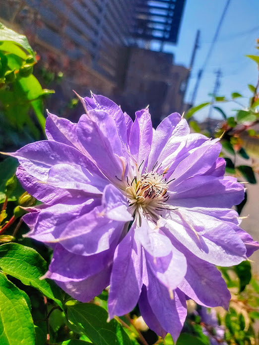 おはようございます🌈📸