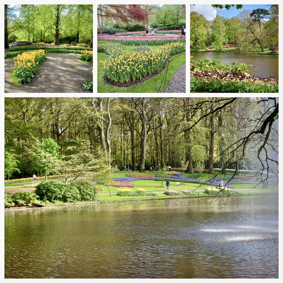 With the changeable weather, there was plenty of room to enjoy last week! 😎🌷🌈