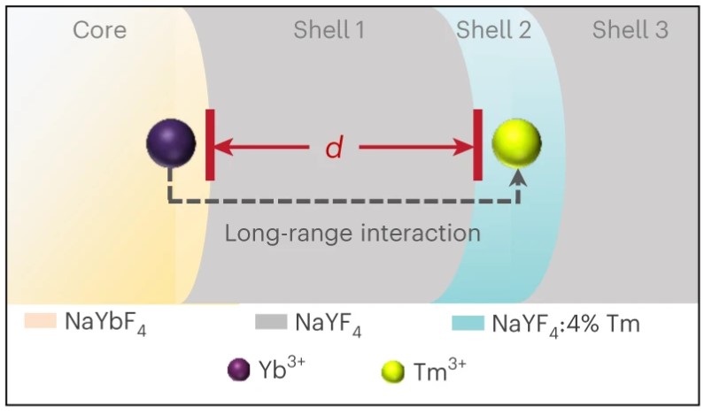 New article online: Size-dependent lanthanide energy transfer amplifies upconversion luminescence quantum yields. go.nature.com/3wcPn69