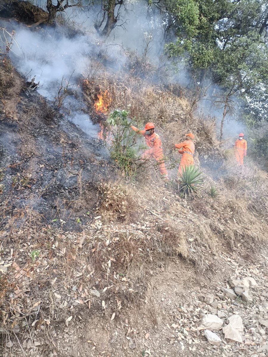 Efforts to combat the forest fires in #Uttarakhand are underway with #NDRF personnel, along with the Fire and Forest Departments, making significant progress in controlling the blaze across #Garhwal and #Kumaon divisions. Local communities are also lending their support to the