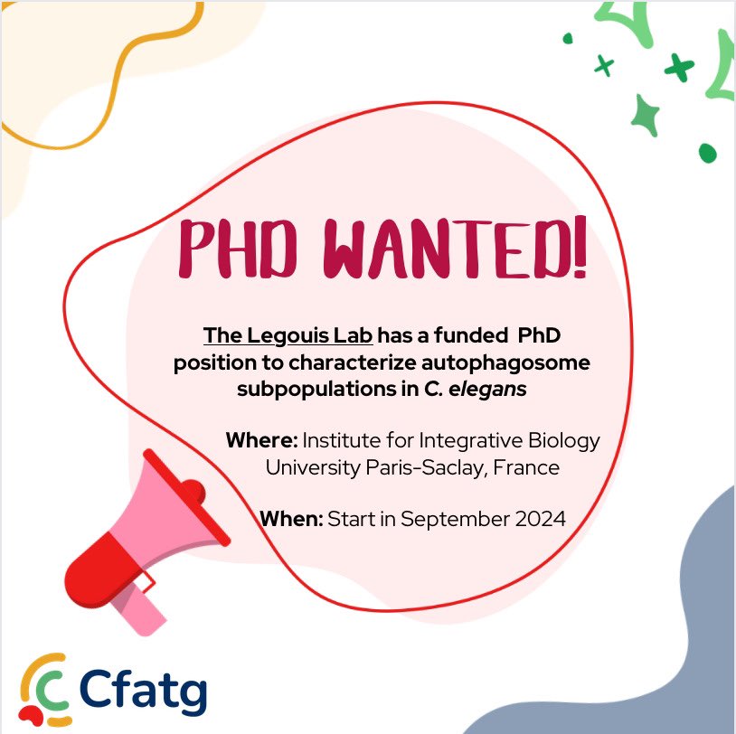 🚨 Exciting opportunity! Join the team Legouis <a href="/ParisSaclayPro/">Université Paris-Saclay Pro</a> for a #PhD to study #autophagosome populations and their role in cellular processes in C. Elegans. More info on <a href="/CFATG/">CFATG</a> website: cfatg.org/offres_emploi/…
Apply now #autophagy #phdlife 🧪🔬