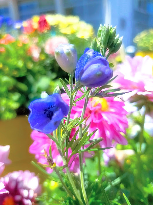 おはようございます🌈📸