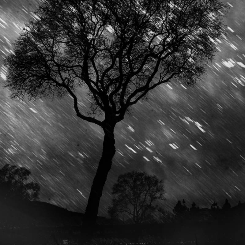 Untitled by Jim Ferreira
#capture #exposure #bnw_mood #stars #forest #dark #blackandwhite #blackandwhitephotography #tree #bnwphotos #bw_life #artoftheday #blackandwhitephoto #trees #photography #dailyart #blackwhite #retouching #montage #nature #vegetal… artlimited.net/1045367/art/ph…
