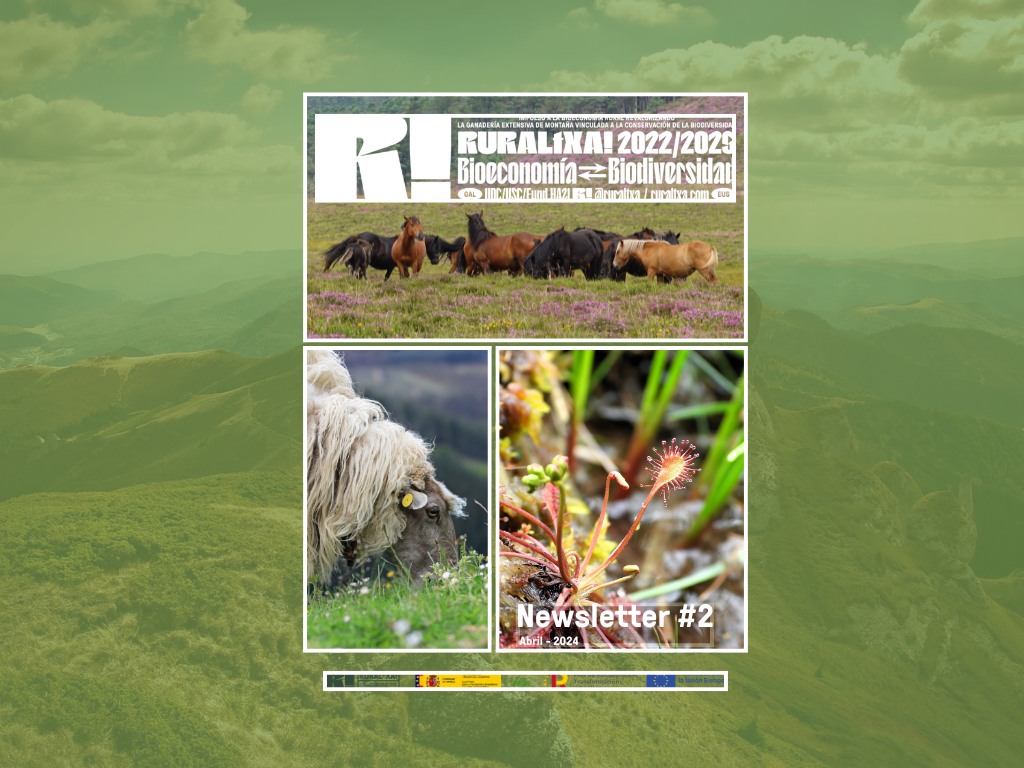 🎉 ¡Ya está disponible nuestra segunda newsletter! 📰Consulta las últimas novedades sobre RURALtXA! y descubre el rincón de profesionales. 
👉bit.ly/44hjVAn

#ruraltxa #fundacionbiodiversidad #mundorural #ProyectosPRTR #PlanDeRecuperación #biodiversidad