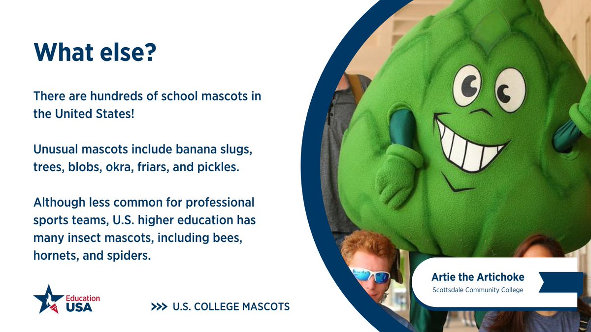 📷 Don’t panic, it’s a mascot!  These larger-than-life characters can be found on many campuses across the United States, ranging from animals, to plants, to humans, or even something else!

Learn all about school mascots