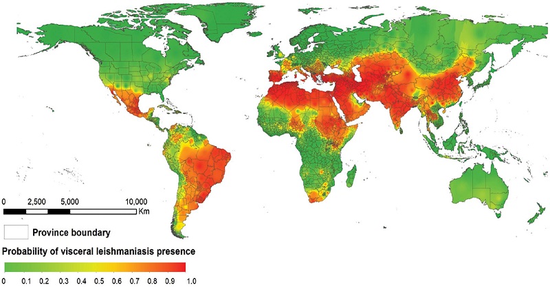 Global Distribution and Prediction of Transmission-Risk of Visceral Leishmaniasis

Read More: zoonoses-journal.org/index.php/2024…

#Visceralleishmaniasis #Spatialriskfactors #Boostedregressiontree #Neglectedtropicaldiseases #Epidemiology #Globalhealth #zoonoticdiseases #zoonoses