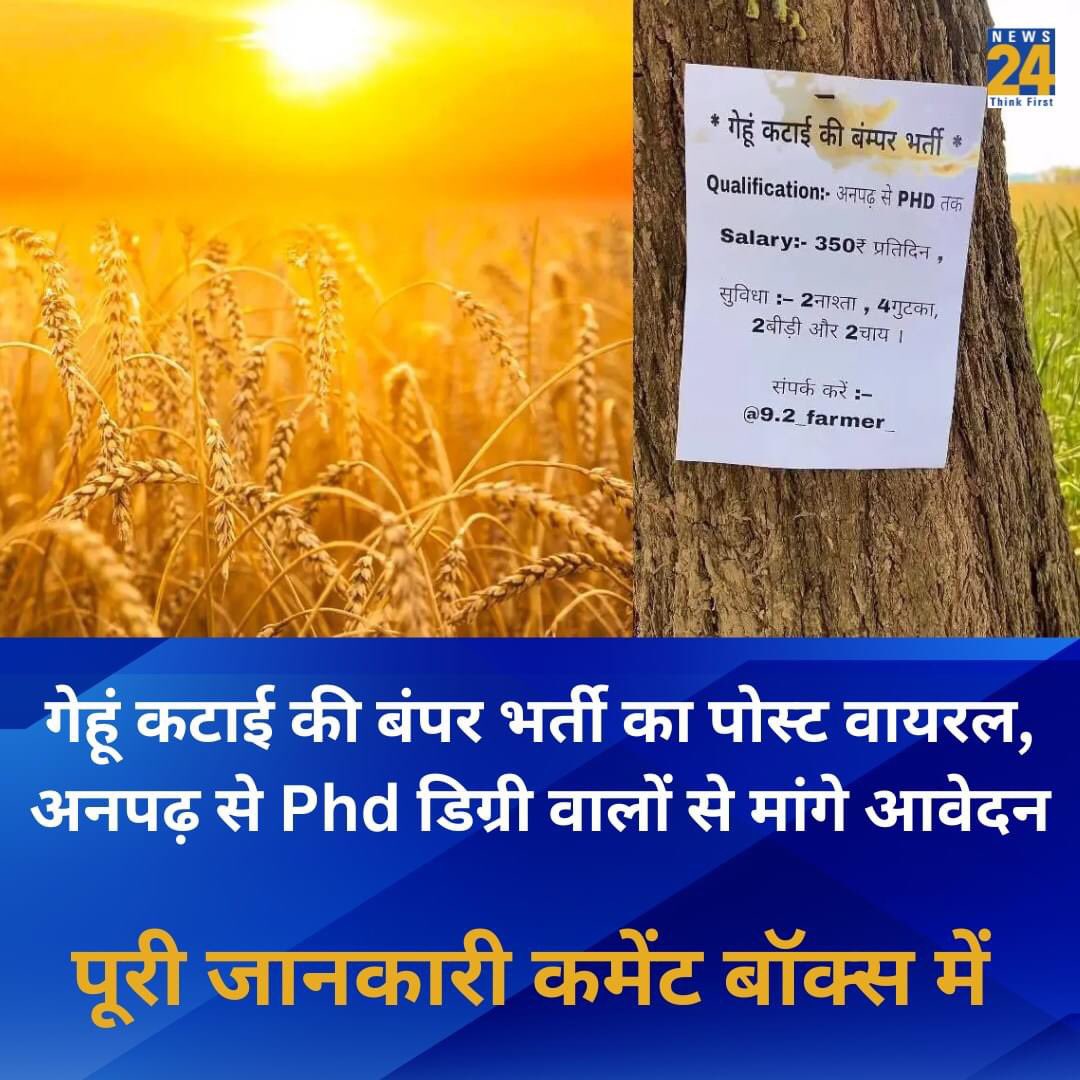 munajir31's tweet photo. अच्छे दिन 🤷♂️
#justasking
#JobVacancy #WheatCutting https://t.co/AImm6ExTIC