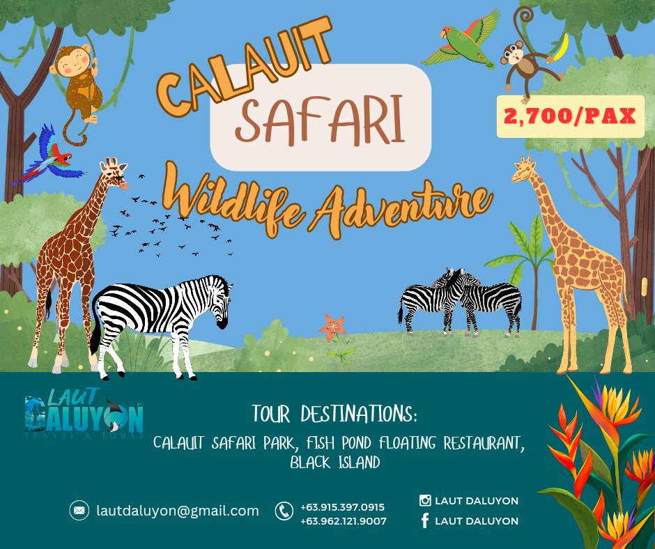 A wildlife adventure awaits you! 🦓🦒🐒

#safariadventure #giraffe #zebra #adventure #coron #busuanga #blackisland #CalauitSafariPark