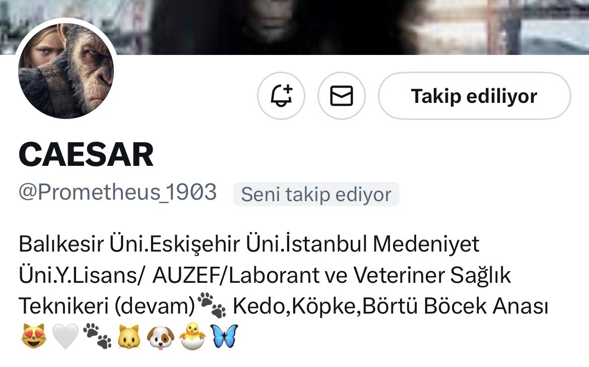 Arkadaşlar, çok kıymetli hayvansever arkadaş Ceasar’ın hesabı hayvan düşmanlarının uğraşması sonucu askıya alındı. Yeni hesabı: @Prometheus_1903 Takip öneririm.