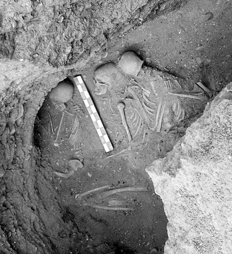 #DiCYT_CienciasSociales | España 

☠️Una investigación en yacimientos arqueológicos de Castilla y León revela que el parentesco biológico no era un requisito para enterrar juntos a los individuos hace 5000 años.

🔗ow.ly/xONK50RqmqK