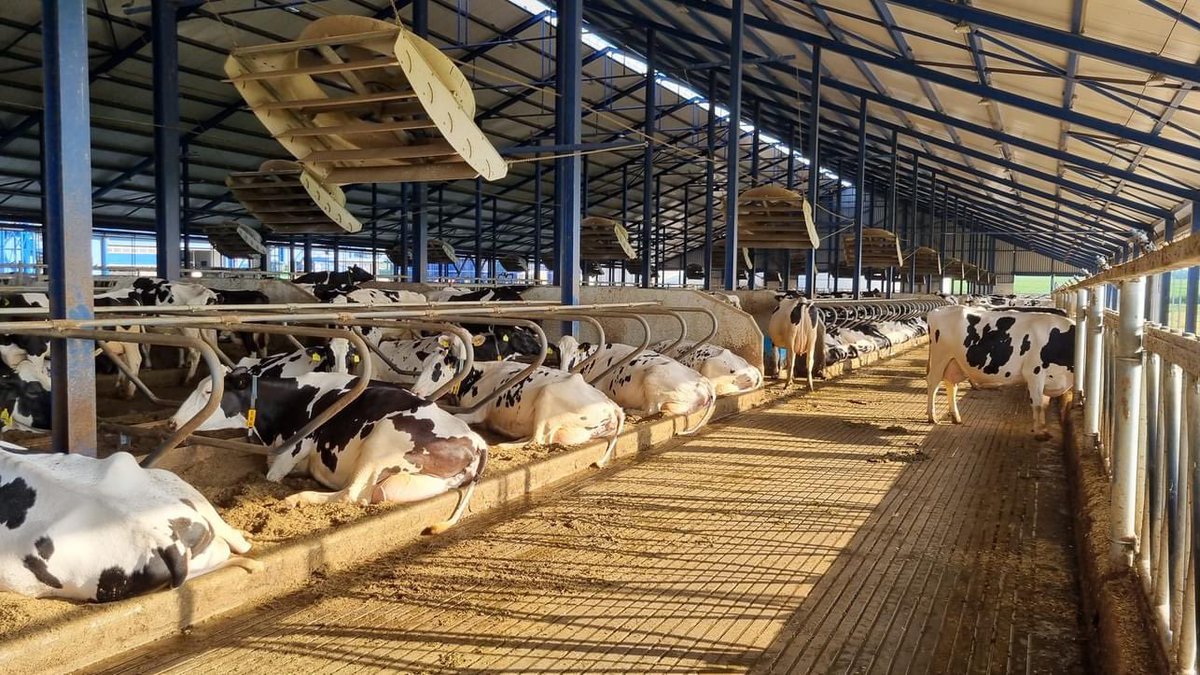 Last few days to apply for this
Deadline : May 1st 

💨 🐄