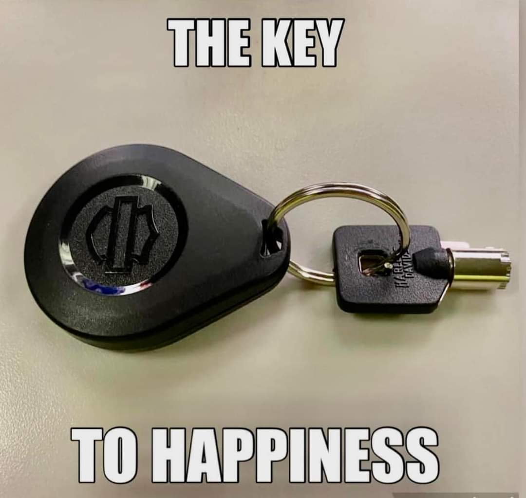 GinoNagtegaal's tweet image. Gm fam, i'm back!