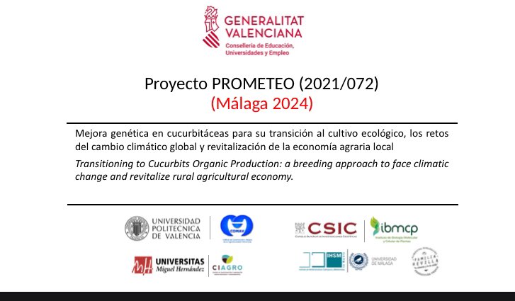 Estamos evaluando en condiciones de cultivo ecológico 🐝👨🏼‍🌾, también en el Valle del Guadalhorce, en Málga, las variedades más prometedoras de 🍈 y 🍉 del proyecto PROMETEO/2021/072

@Agroalnext_GVA @UPV @geno_breed @IBMCP @CSIC @GVAeducacio