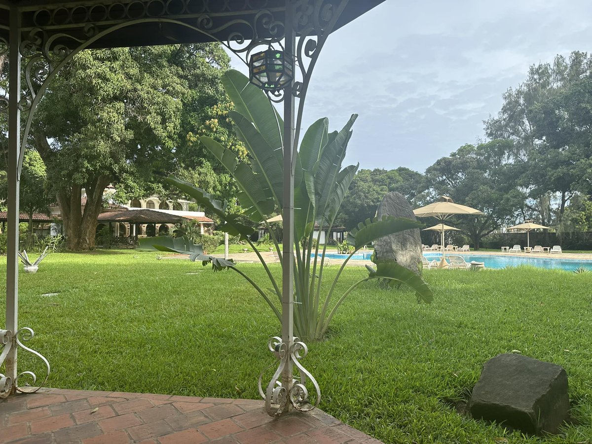 MwembeResort's tweet photo. Welcome to a brand new week from Mwembe Resort! 🌟 Whether you're here for relaxation, adventure, or business, we've got everything you need for a fantastic week ahead💼🌴 

#mondaymotivation #FamilyVacations #acommodation #swimming #adventure #travel #Flooding Garissa Malindi https://t.co/1oAnnmM6bo