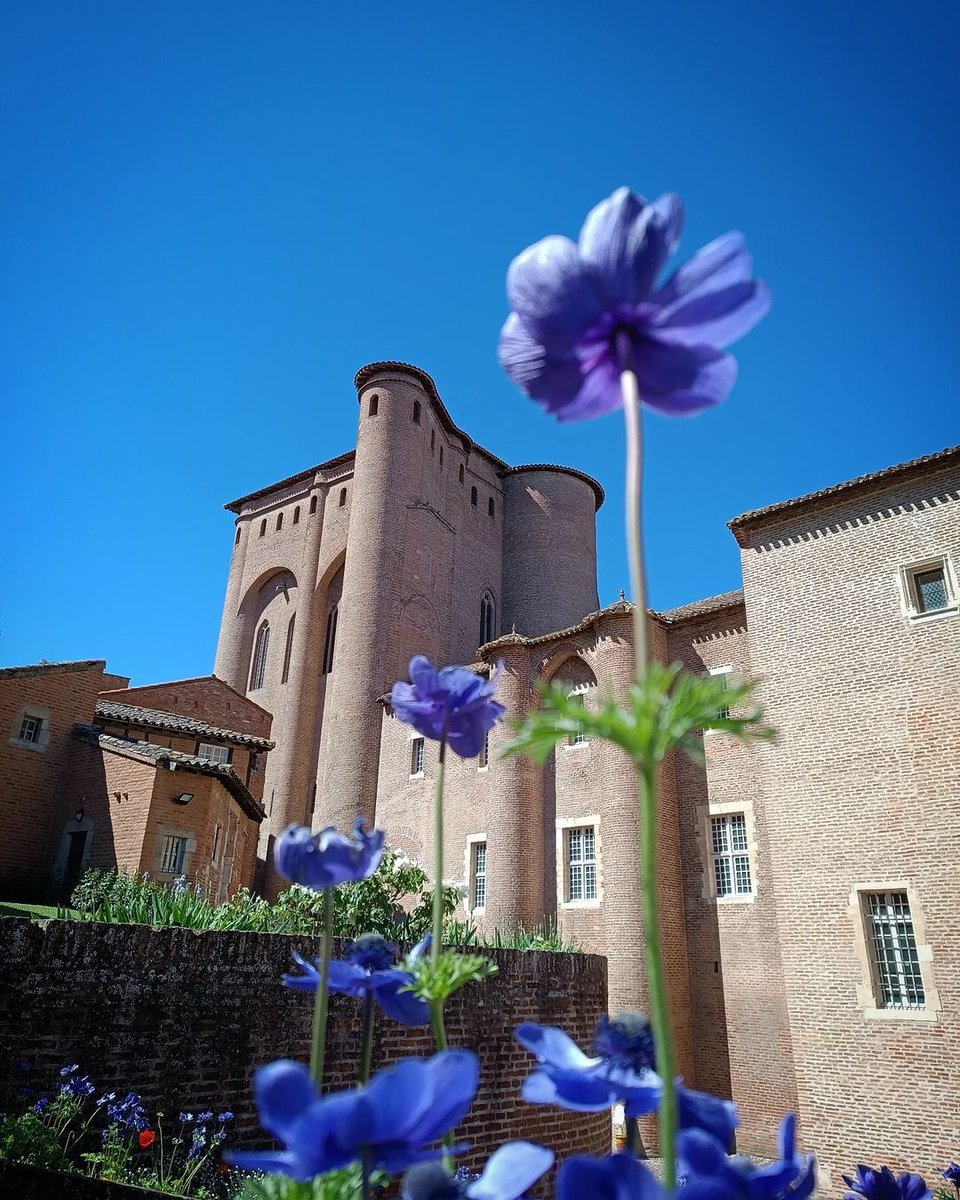 ville_albi's tweet photo. #AlbiEnPhotos
➡ Voici une sélection de 4 clichés découverts via #Albi et #partageonsalbi sur Instagram.
📷 e.l.o.d.i.e.8.1., loeildusoleil, mat_tou, so_fywalin
On se retrouve la semaine prochaine ! https://t.co/2ERYeh1Btr