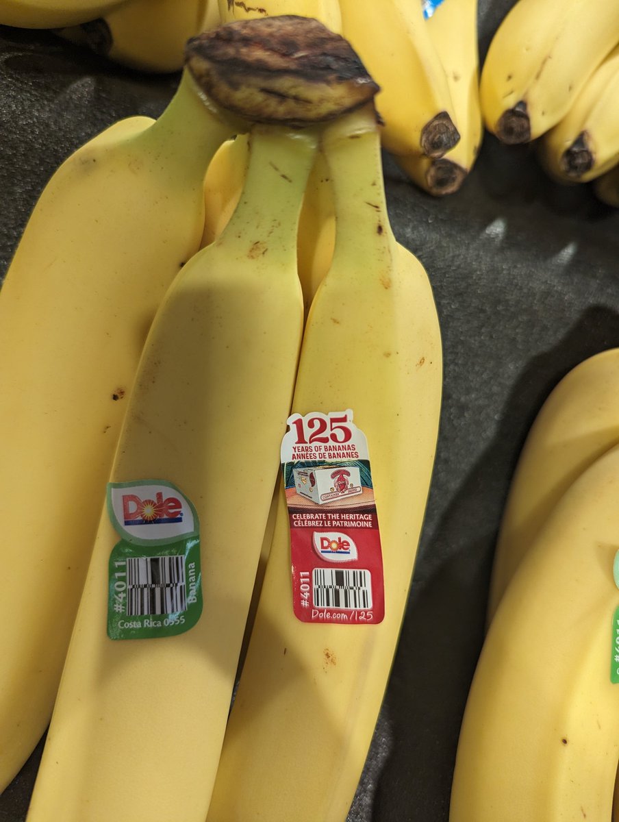 MorteVerde (@morteverde) on Twitter photo Knowing the history behind how you first got them, this is a weird brag <a href="/DoleSunshine/">Dole Packaged Foods</a> #dolebananaversary Knowing the history behind how you first got them, this is a weird brag <a href="/DoleSunshine/">Dole Packaged Foods</a> #dolebananaversary