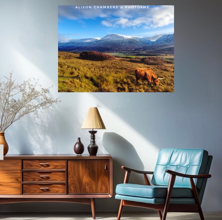 Loch Tulla Viewpoint Scotland©️. Available from; shop.photo4me.com/1328101 & redbubble.com/shop/ap/160777… & 2-alison-chambers.pixels.com #lochtulla #highlandcow #scottishhighlands #scotland #scottishhighlandsart #scottishlandscape #Photo4Me #redbubbleshop #fineartamerica