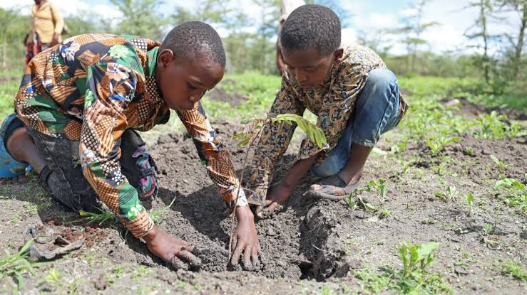 #DYK Planting trees is a powerful way to give back!  Every tree helps restore habitats and combat climate change.
#WhatHasChanged? #ActforNature
@WWF @CSDevNet1 @aacjinaction @PACJA1 @EUinNigeria @ecowas_cedeao @CSDevNet1_Steve